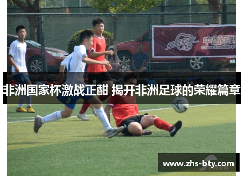 非洲国家杯激战正酣 揭开非洲足球的荣耀篇章